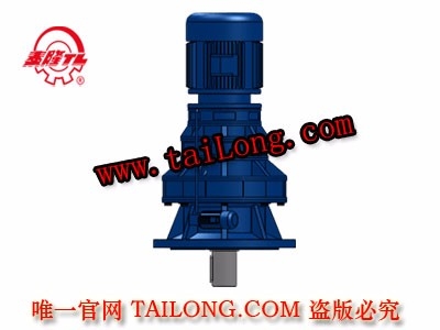 BLSD 立式三級專用電機直聯(lián)型擺線針輪減速器（機）