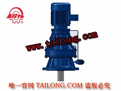 BLSD 立式三級專用電機直聯(lián)型擺線針輪減速器（機）