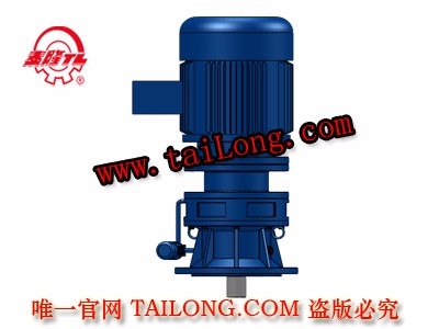 BLY 立式單級普通電機直聯型擺線針輪減速器（機）