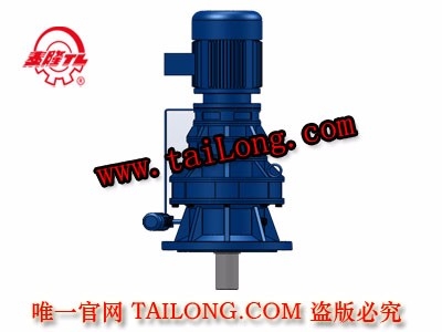 BLSD 立式三級專用電機直聯(lián)型擺線針輪減速器（機）