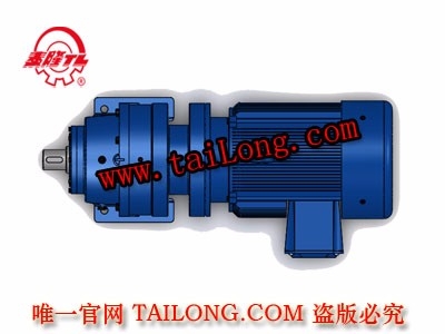 BHWD 臥式單級專用電機(jī)直聯(lián)型化工部擺線針輪減速器（機(jī)）