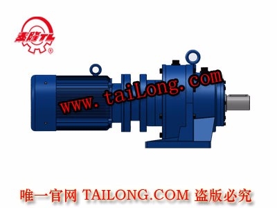 BHWED 臥式雙級專用電機直聯型化工部擺線針輪減速器（機）