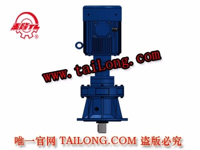 BHLED 立式雙級專用電機(jī)直聯(lián)型化工部擺線針輪減速器（機(jī)）