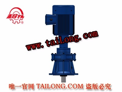 BHLED 立式雙級專用電機(jī)直聯(lián)型化工部擺線針輪減速器（機(jī)）