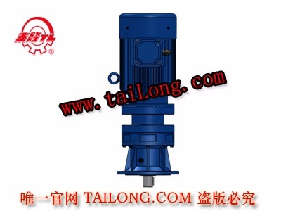 BHLD 立式單級專用電機直聯型化工部擺線針輪減速器（機）